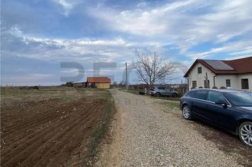 Teren Intravilan de vanzare BIHARIA  - Bihor anunturi imobiliare Bihor