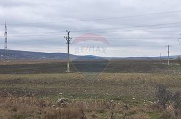 Oportunitate de investiție strategică: Teren extravilan lângă Vaslui!! anunturi imobiliare Vaslui