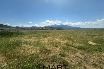 Teren de vanzare RASNOV - Brasov anunturi imobiliare Brasov