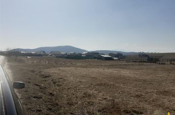 Teren Intravilan de vanzare EXTERIOR EST - Brasov anunturi imobiliare Brasov