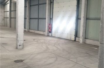 Hale 1250mp Exterior Nord anunturi imobiliare Timis