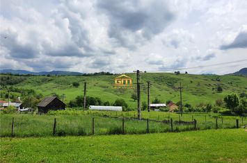 Casă - 2 camere de vanzare SALATRUCEL - Valcea anunturi imobiliare Valcea