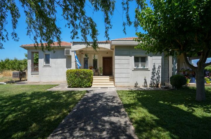 Casă parter 180 mp pe teren 702 mp, Sitagros anunturi imobiliare Grecia