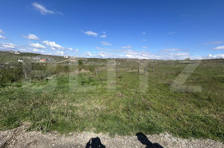 Teren de vanzare ORADEA - Bihor anunturi imobiliare Bihor