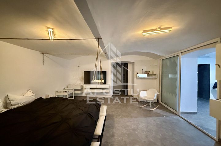 Apartament renovat cu o camera si curte, 2 bai, 50 mp, Piata Romanilor anunturi imobiliare Timis