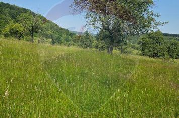Teren   intravilan  1,310mp Fantanele / Sibiu anunturi imobiliare Sibiu