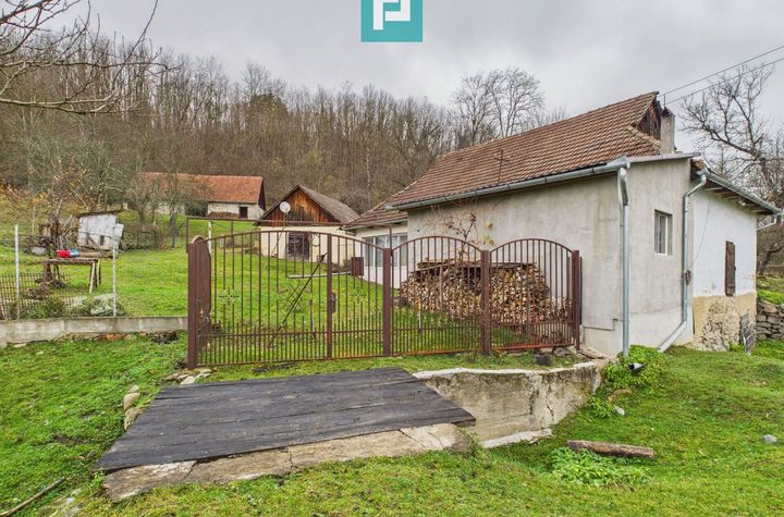 Casă cu teren de 24.679,73 mp, în Hălmagiu, Arad anunturi imobiliare Arad