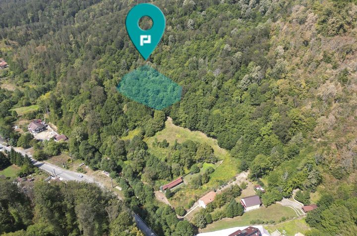 Teren intravilan de 1500 mp pe deal în Moneasa anunturi imobiliare Arad