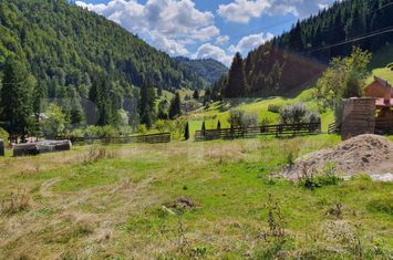 Teren de vanzare ARIESENI - Alba anunturi imobiliare Alba
