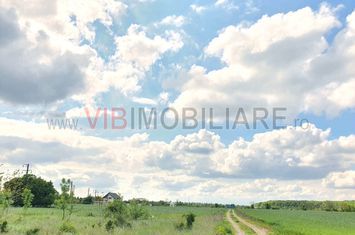 Izvorani, lacul Snagov, in apropiere de padure 2000mp anunturi imobiliare Bucuresti
