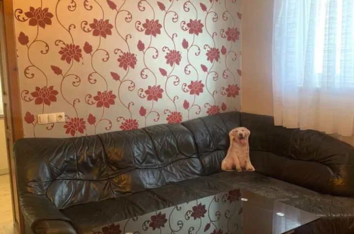 Apartament 2 camere de inchiriat CENTRUL CIVIC - Brasov anunturi imobiliare Brasov