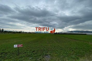 Teren Extravilan de vanzare CENTRAL - Alba anunturi imobiliare Alba