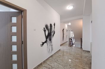 Timpuri Noi Ion Minulescu vila 12 camere de inchiriat anunturi imobiliare Bucuresti