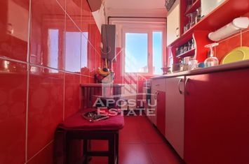 Apartament 2 camere, 45 mp utili, Zona Aurel Vlaicu anunturi imobiliare Arad