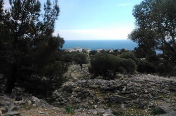 Teren construibil 22.200 mp, Thimonia, Thasos anunturi imobiliare Grecia