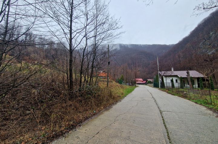 Teren de vanzare PESTISANI - Gorj anunturi imobiliare Gorj