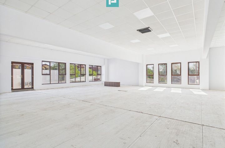 Spații Comerciale între 70 și 350 mp în Dumbrăvița anunturi imobiliare Timis
