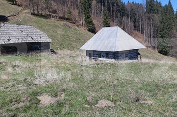 Teren de vanzare VATRA DORNEI - Suceava anunturi imobiliare Suceava