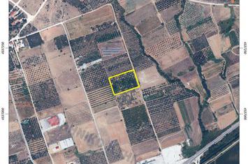 Teren construibil 6.750 mp în Petropigi anunturi imobiliare Grecia