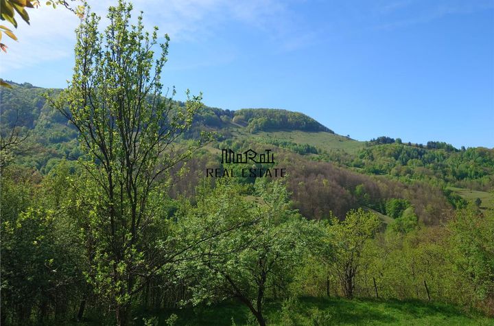 Teren Intravilan de vanzare BLAJENI - Hunedoara anunturi imobiliare Hunedoara