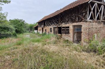 Casă - 8 camere de vanzare COSTESTII DIN VALE - Dambovita anunturi imobiliare Dambovita
