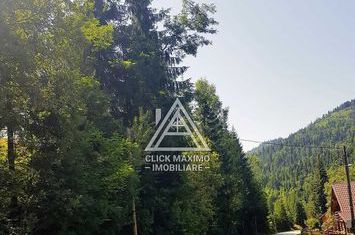 7130 mp TEREN INTRAVILAN ARIESENI-ALBA langa viitoarea partie de SCHI anunturi imobiliare Alba