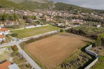 Teren agricol 4246 mp în Chrisokastro anunturi imobiliare Grecia