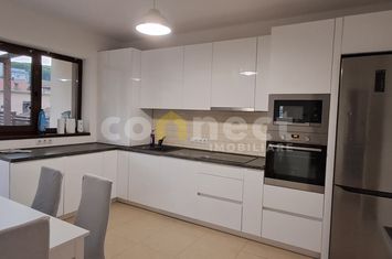 Vilă - 5 camere de inchiriat CLUJ-NAPOCA - Cluj anunturi imobiliare Cluj