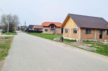Teren Intravilan de vanzare EXTERIOR EST - Brasov anunturi imobiliare Brasov