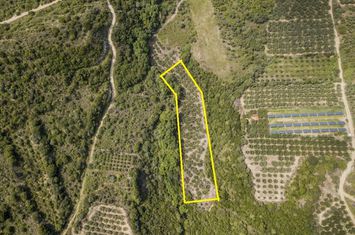 Teren 3375 mp, 150 m de mare, Loutra Eleftheron anunturi imobiliare Grecia