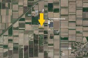 Teren agricol 2419 mp în Erateino anunturi imobiliare Grecia