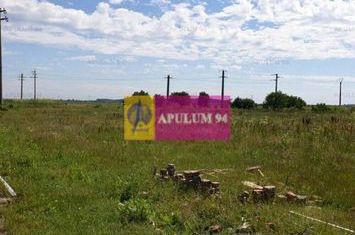 Teren aproape de Bucuresti langa padure anunturi imobiliare Bucuresti
