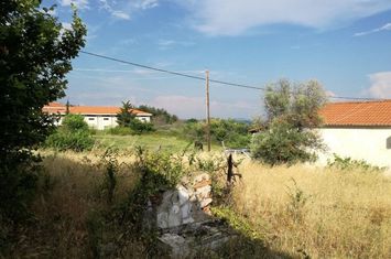 Teren construibil 902 mp în Zarkadia Nestou anunturi imobiliare Grecia