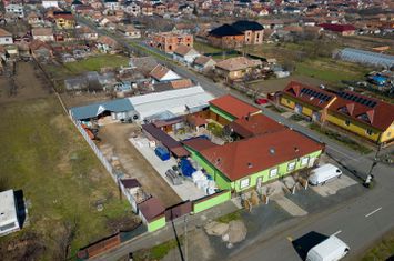 Casa cu potential multiplu in Curtici anunturi imobiliare Arad