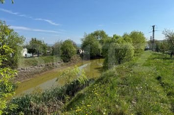 Teren de vanzare BOTOSANITA MARE - Suceava anunturi imobiliare Suceava