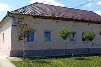Casă modernă, spațioasă și versatilă Caporal Alexa anunturi imobiliare Arad