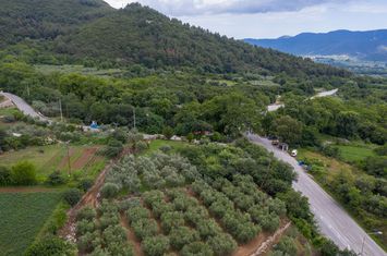 Teren construibil 750 mp în Mesoropi, Kavala anunturi imobiliare Grecia