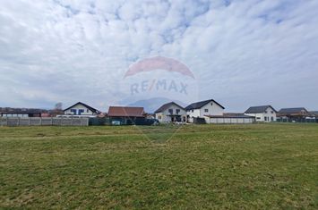 Teren de vânzare – 1600 mp – Șura Mică anunturi imobiliare Sibiu