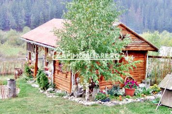 Pensiune functionabila intre Gheorgheni-Lacu Rosu anunturi imobiliare Harghita