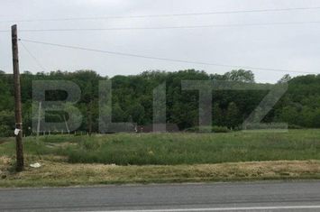 Teren de vanzare TELEAC - Alba anunturi imobiliare Alba