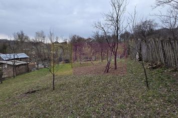 Teren intravilan 800 mp de vanzare in Lunca Mare anunturi imobiliare Prahova