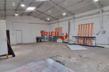 Spațiu industrial de inchiriat CETATE - Alba anunturi imobiliare Alba