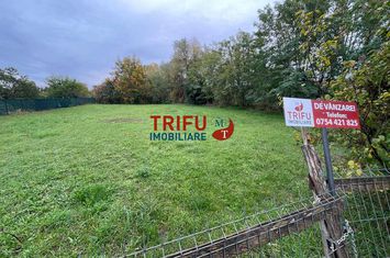 Teren Intravilan de vanzare IGHIU - Alba anunturi imobiliare Alba