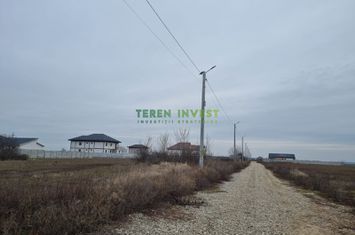 VANZARE TEREN INTRAVILAN 1.000 MP - CERNICA-TANGANU anunturi imobiliare Bucuresti