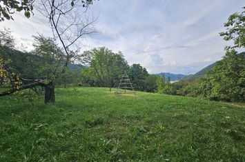 Teren de vanzare SECIURI - Prahova anunturi imobiliare Prahova