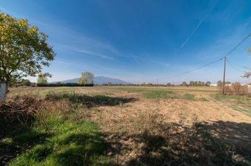 Teren construibil 7.444,17 mp în Dato, Kavala anunturi imobiliare Grecia