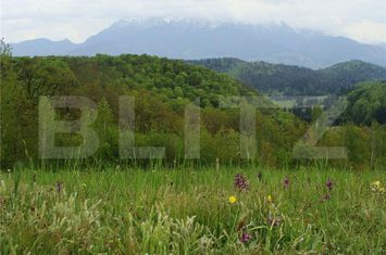 Teren de vanzare POIANA MARULUI - Brasov anunturi imobiliare Brasov