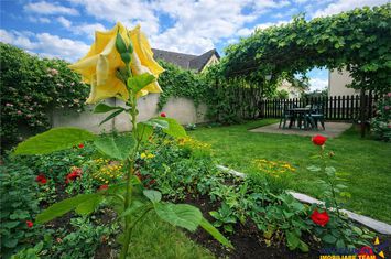 Casă - 3 camere de vanzare EXTERIOR EST - Brasov anunturi imobiliare Brasov