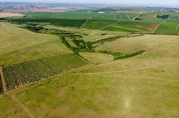 Teren arabil de 1771 hectare în Dolj anunturi imobiliare Dolj