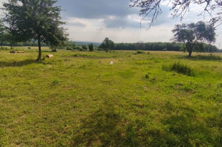 Casă - 3 camere de vanzare RADAUTI - Suceava anunturi imobiliare Suceava